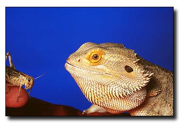 5. Platz - Andreas Papez