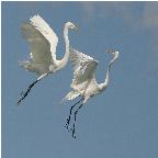 Platz 1 - Angela Doerks