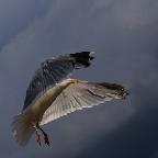 Jugend Platz 3 - Hannes Seibt, Deutschland