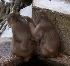 Onkel Doktor, gucken sie mal, ich habe da was!!!