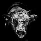 08. Platz - Tetana Nadj