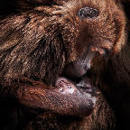 2. Platz - Charlene Smith