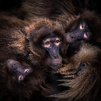 2. Platz - Charlene Smith