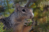 3. Platz - Dieter Ehmann