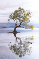 3. Platz - Andre Koschinowski