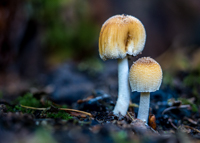 9. Platz - Charlene Smith