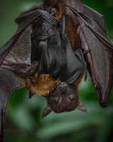 7. Platz - Ralph Stiller