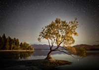 1. Platz - Andre Koschinowski