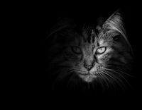 1.Platz - Charlene Smith