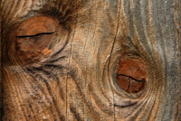 1. Platz - Reiner Enkelmann