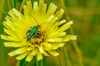 6. Platz - Udo Preussler