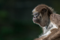 04. Platz - Charlene Smith