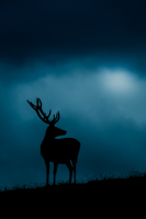 2. Platz - Sebastian Grieb