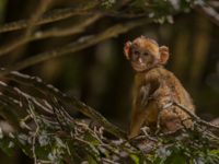 1. Platz - Benedikt Schuhmacher