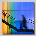 2. Platz - Hazel Reister