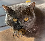 04. Platz - Heike Ziegler