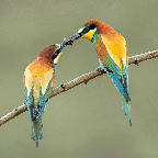 06. Platz - Ralph Stiller