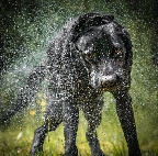 08. Platz - Heike Ziegler